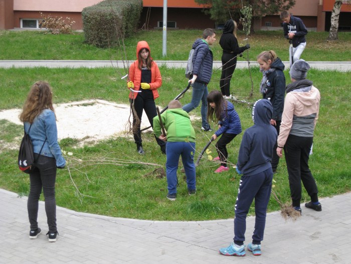 Uczniowie naszej szkoły wzięli udział w akcji sadzenia drzew i krzewów