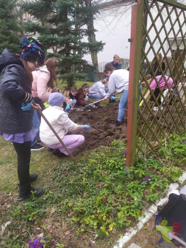 postanowiliśmy zmienić fragment trawnika na terenie szkoły w łąkę kwiatową